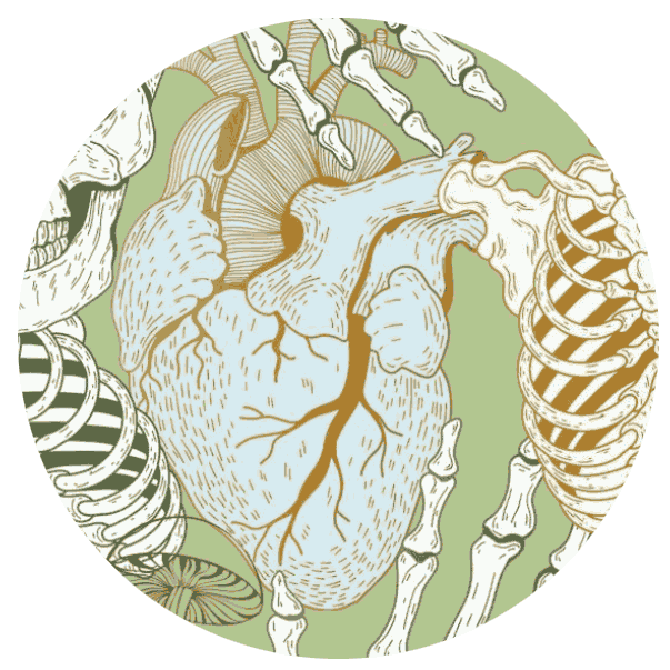 Ecosomatica.org